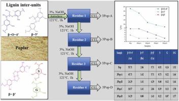 Process Biochemistry X Mol