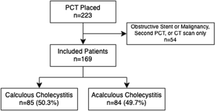 Outcomes Following Percutaneous Cholecystostomy Tube Placement For