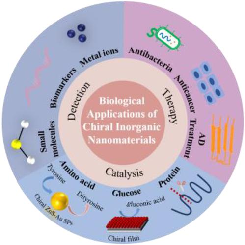 手性无机纳米材料的生物应用 Chirality X MOL