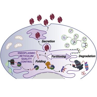 Reshaping Endoplasmic Reticulum Quality Control Through The Unfolded