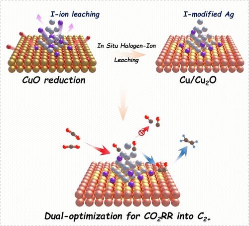 In Situ Halogen Ion Leaching Regulates Multiple Sites On Tandem