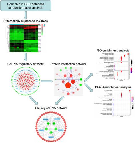 Cerna Lncrna Mirna Mrna Lncrna Journal Of Clinical