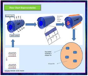 Journal Of Drug Delivery Science And