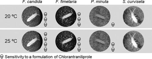 Representativeness Of Folsomia Candida To Assess Toxicity Of A New