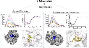 Journal Of Molecular Structure X Mol