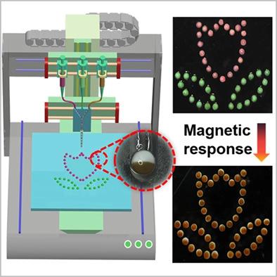 Janus Journal Of Polymer Science X Mol