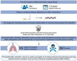 Predicting Risk Of Lung Function Impairment And All Cause Mortality