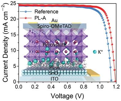 Robust Interfacial Modifier For Efficient Perovskite Solar Cells