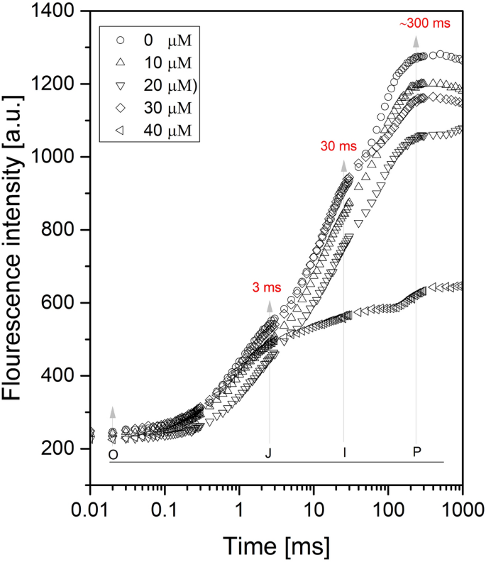 Performance Of Chlorophyll A Fluorescence Parameters In Lemna Minor