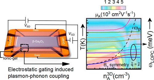 Plasmonphonon Coupling In Electrostatically Gated Ga O Films With