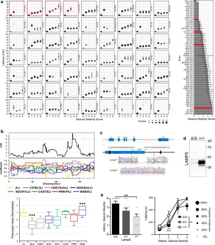 Lamp Acta Neuropathologica X Mol