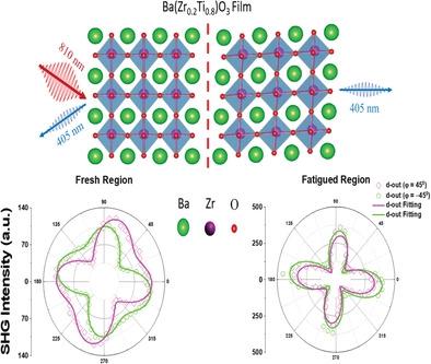 Electrical Field Driven Structural Evolutions Of Polymorphic