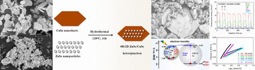 由 ZnSe 纳米颗粒和 001 晶面暴露的 CuSe 纳米片构建的 0D 2D ZnSe 001 CuSe 异质结催化剂的高光电化学和