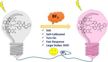 Development Of A Nir Iridium Iii Complex For Self Calibrated And