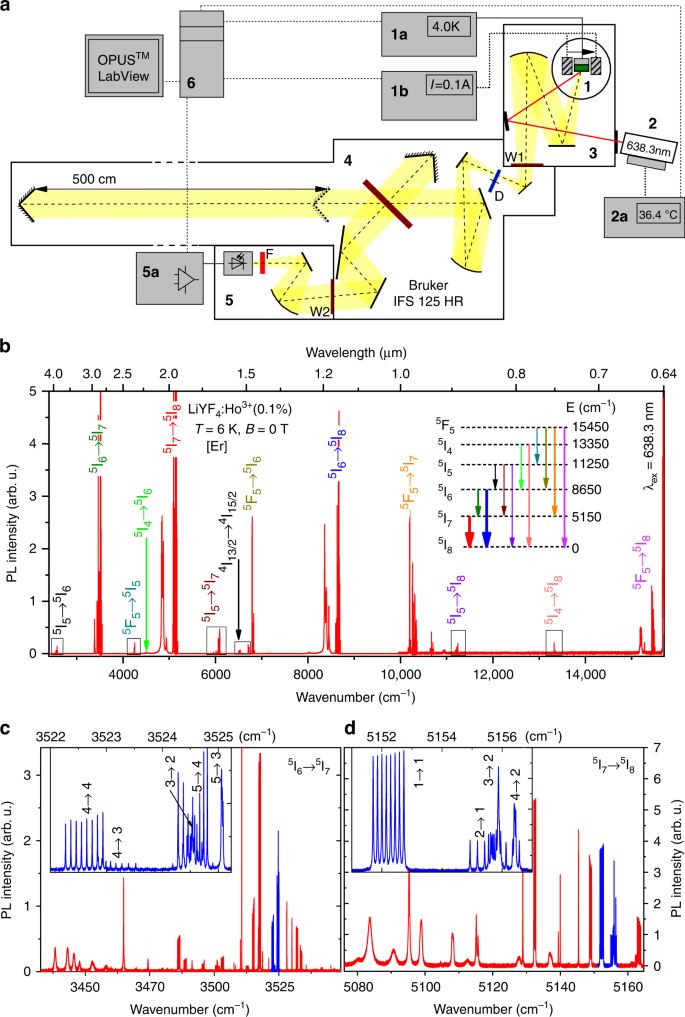 Observation Of The Hyperfine Structure And Anticrossings Of Hyperfine