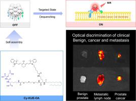 Membrane Dual Targeting Probes A Promising Strategy For Fluorescence