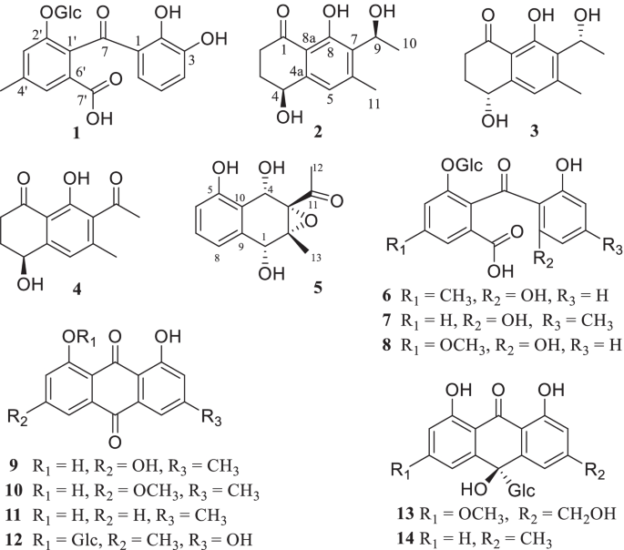 New Seco Anthraquinone Glucoside From The Roots Of Rumex Crispus