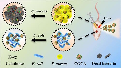 Acs Biomaterials Science