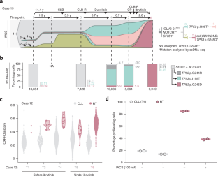 The Clonal Evolution Of Richter Transformation Cells Uncovers