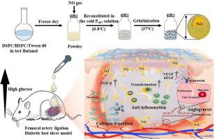 In Situ Hydrogel Capturing Nitric Oxide Microbubbles Accelerates The