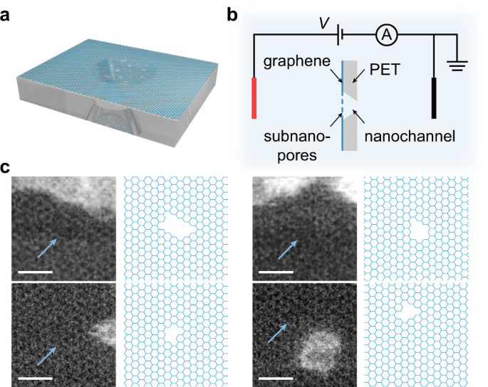 Multifunctional Graphene Heterogeneous Nanochannel With Voltage Tunable