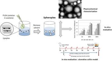 Spheroplexes混合 PLGA 阳离子脂质纳米颗粒用于体外和口服 siRNA Journal of Controlled