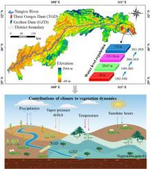 Evolution Of Vegetation Dynamics And Its Response To Climate In