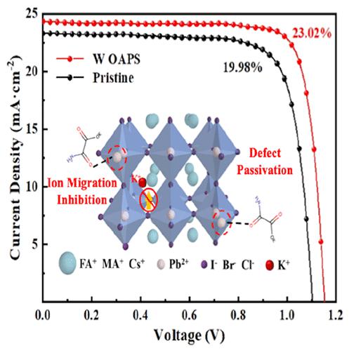 Potassium Salt Coordination Induced Ion Migration Inhibition And Defect