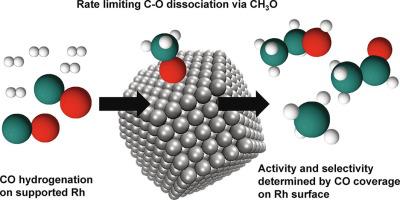 Investigations Of Mechanism Surface Species And Support Effects In CO