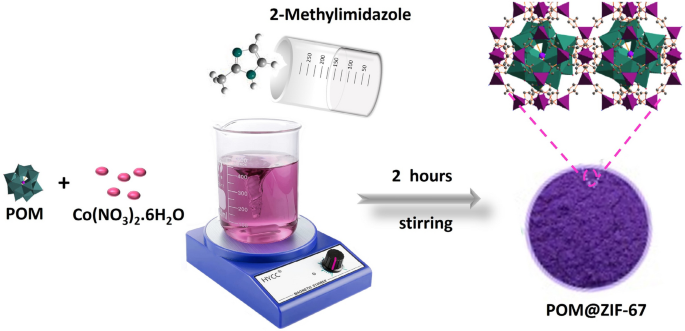 Zif Scientific Reports X Mol