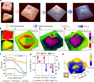 Spatiotemporal Imaging Of Charge Transfer In Photocatalyst Particles