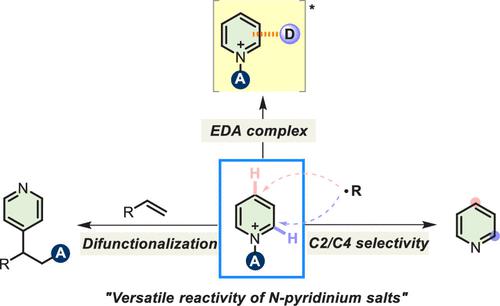 N Functionalized Pyridinium Salts A New Chapter For Site Selective