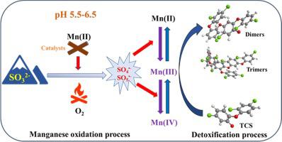 Mechanistic Insight Into Manganese Oxidation Induced By Sulfite Under