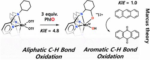 Aliphatic And Aromatic Ch Bond Oxidation By High Valent Manganese Iv