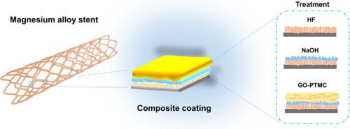 用于血管支架应用的镁合金可生物降解涂层的双重强化腐蚀控制 Progress in Organic Coatings X MOL
