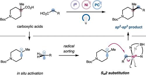 Sh Journal Of The American Chemical Society