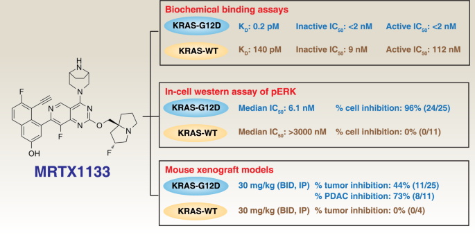 Glimmers Of Hope For Targeting Oncogenic KRAS G12D Cancer Gene Therapy