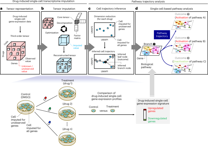 Pathway Trajectory Analysis With Tensor Imputation Reveals Drug Induced