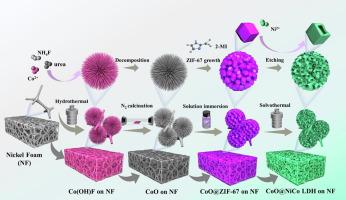 锚定在 3D CoO 海胆样微球上的 3D 中空 NiCo LDH 纳米笼一种用于混合超级电容器电极的新型 3D 3D 结构 Journal