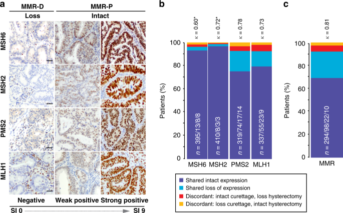 Mismatch Repair Markers In Preoperative And Operative Endometrial