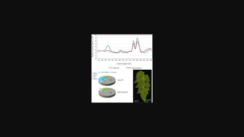 Molecular Characterization Reveals No Functional Evidence For Naturally