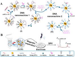 Ratiometrically Homogeneous Electrochemical Biosensor Based On The