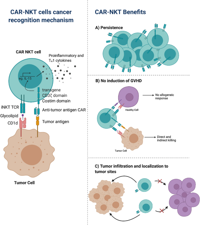 Current Developments In The Preclinical And Clinical Use Of Natural