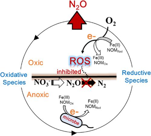 Reactive Oxygen Species Promote Nitrous Oxide N O Emissions From Soil