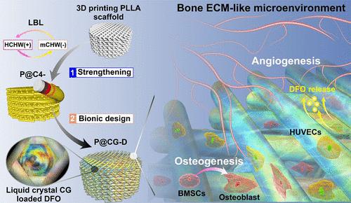 Ecm D Acs Nano X Mol