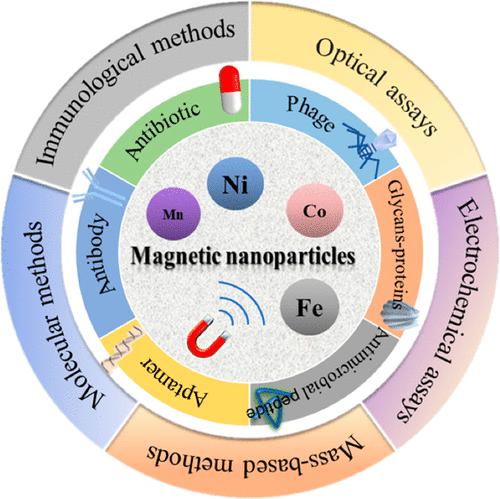 高效控制食品中微生物和毒素的磁性纳米分离技术综述 Journal of Agricultural and Food Chemistry