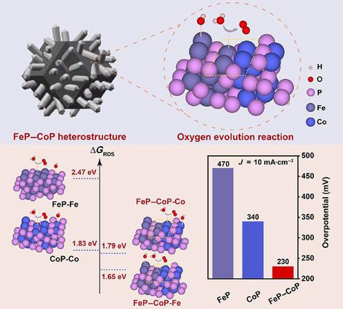 Fep Cop Nano Research X Mol