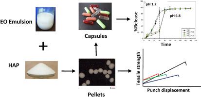 Journal Of Drug Delivery Science And