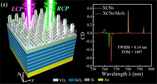 Enhancement And Sensing Application Of Ultra Narrowband Circular