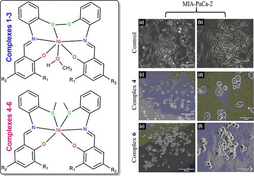 Nickel Complexes Bearing ONS Chelating Ligands A Promising Contender